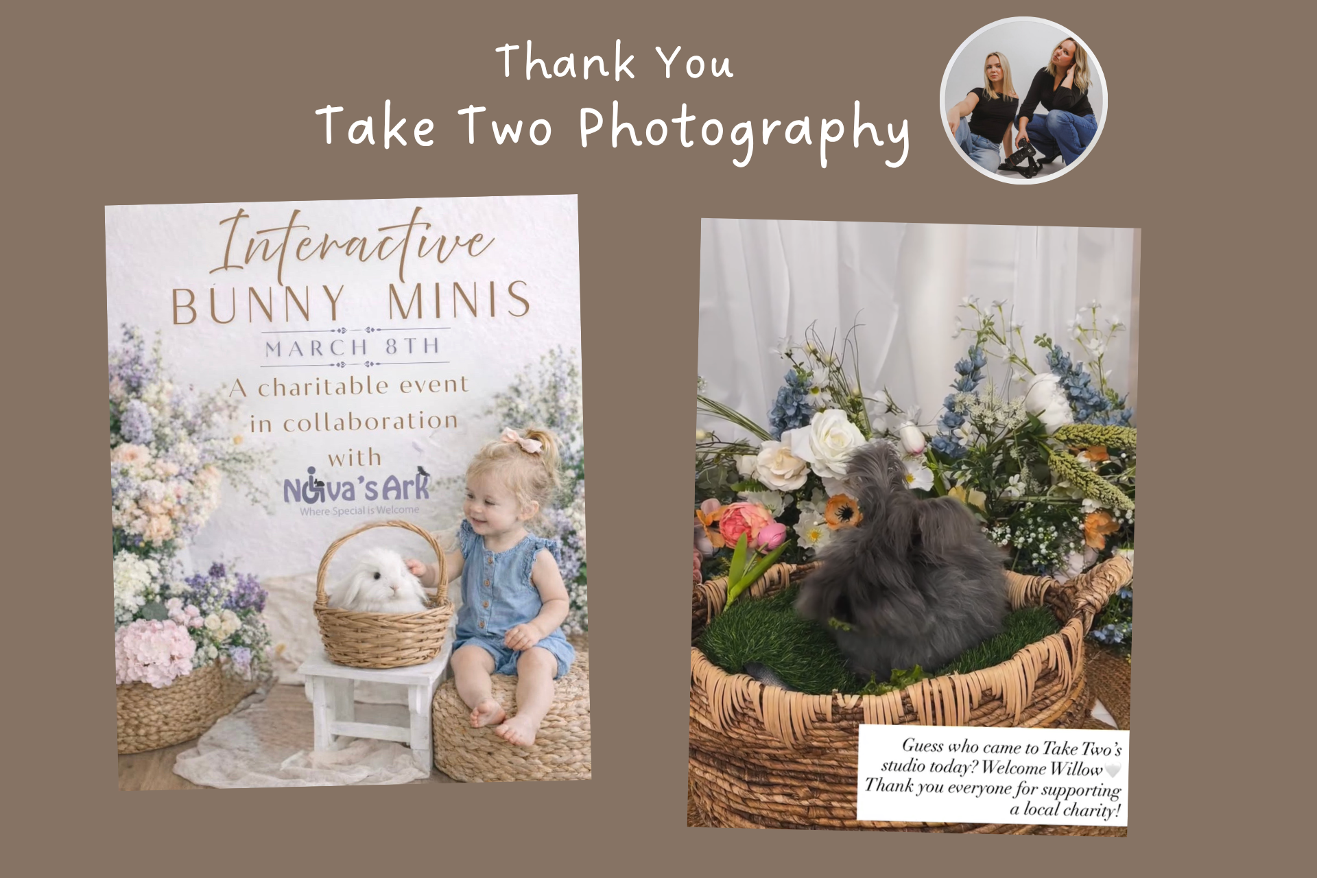 Collage with photos of Willow the rabbit